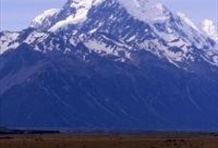 Aoraki/Mount Cook Discovery